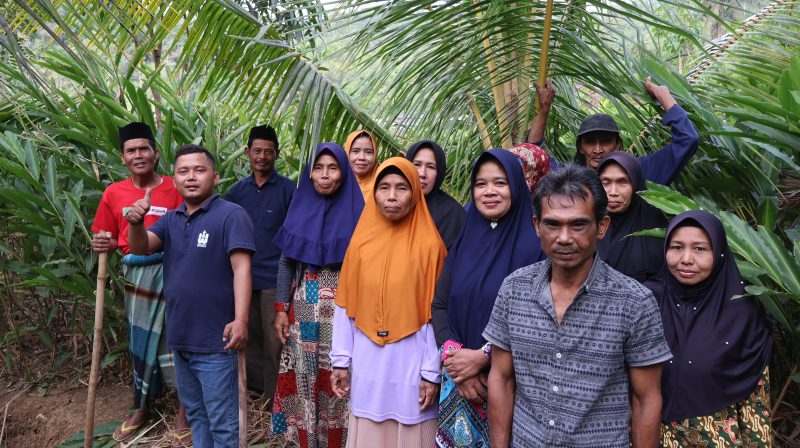 Para petani bersama-sama sedang mengecek kebun